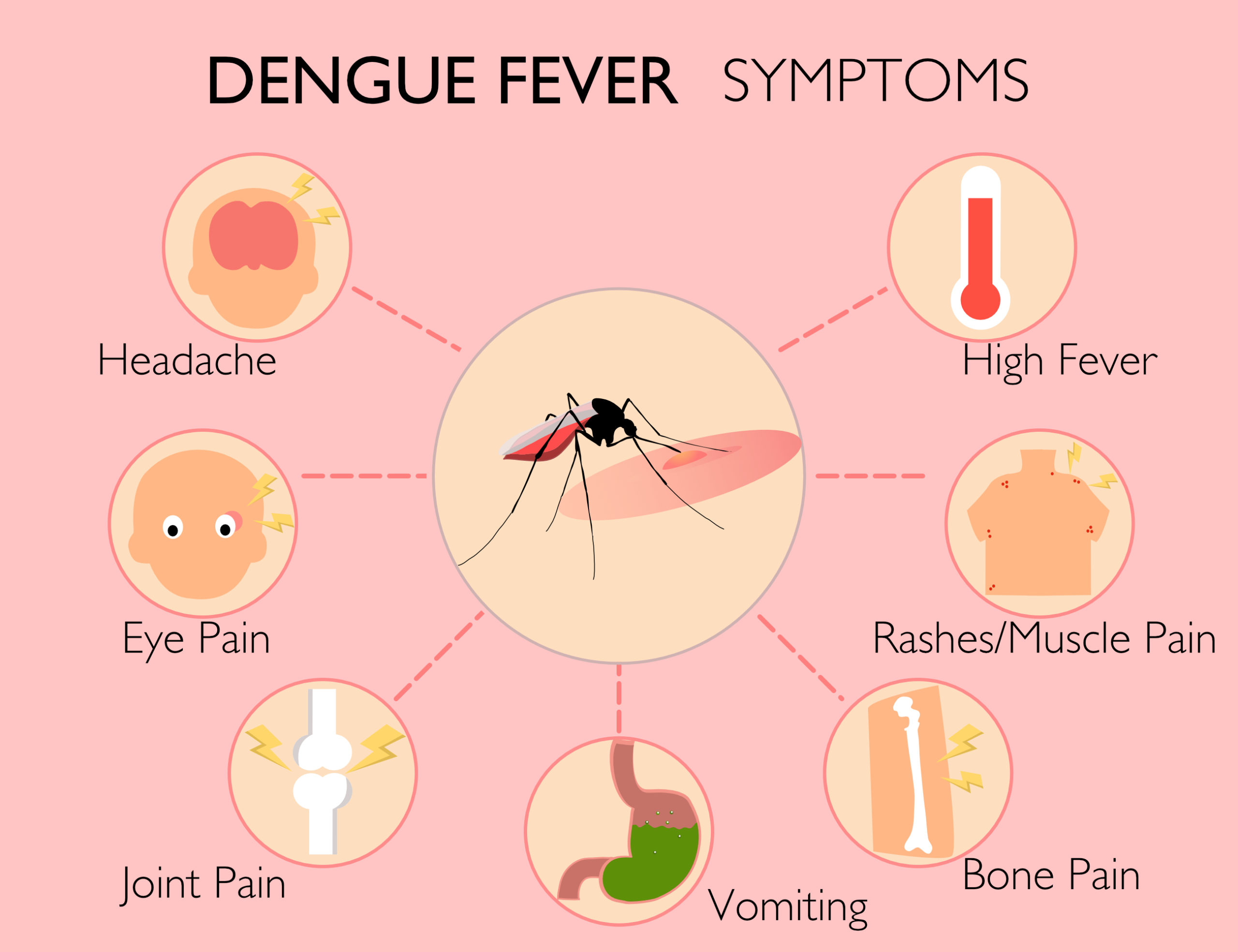 Precautions to Be Taken For Dengue Prevention