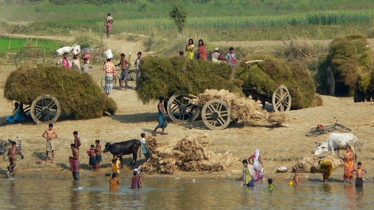 Exploring the Vibrant Rural Culture of Bengal